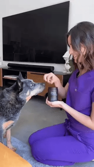 @Ashley